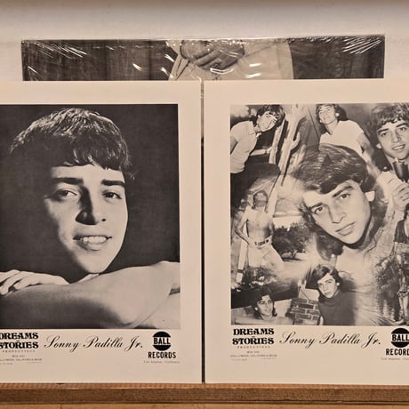 (LP )SONNY  PADILLA JR/WHATEVER YOU ARE 1973US PRIVATE  自主制作　アシッド・フォーク名盤　状態良好