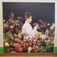 LP)浜本沙良 SARA HAMAMOTO/TRUTH OF LIES 95年作品 遂にアナ
