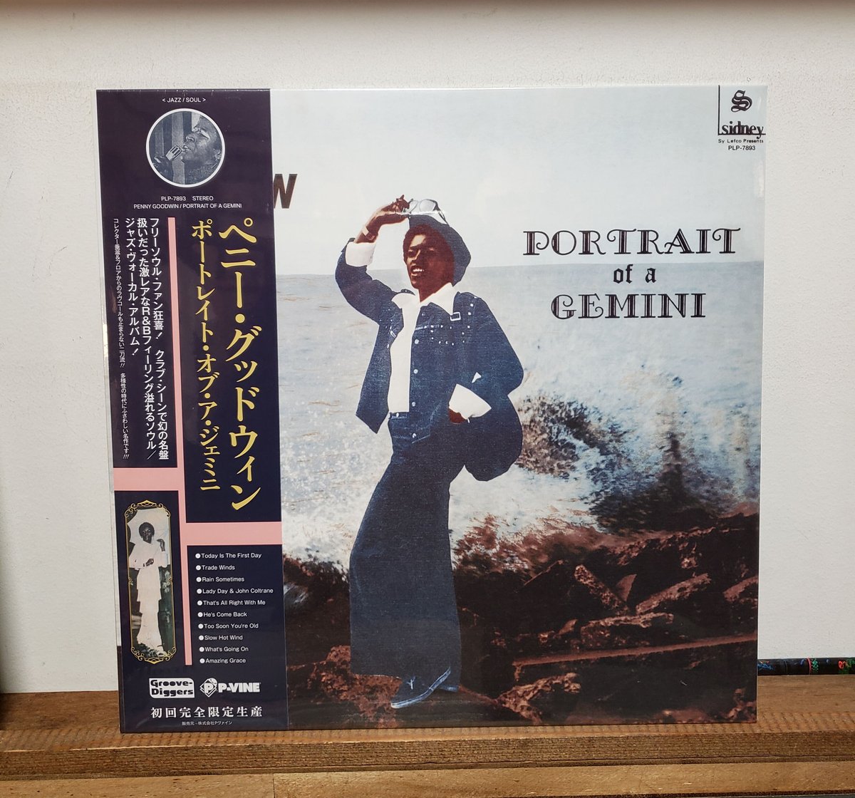レア盤！PENNY GOODWIN / Too Soon You're Old