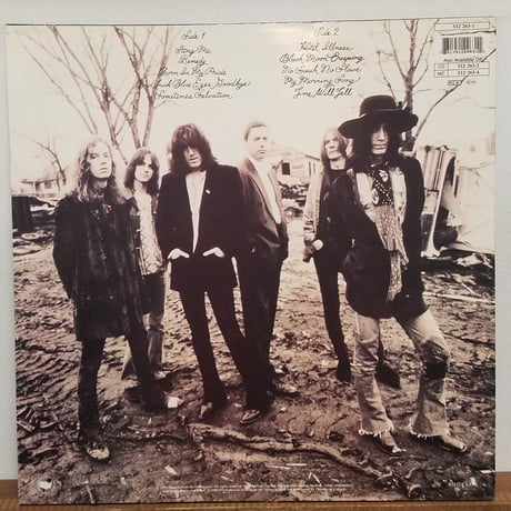 《LP 》THE BLACK CROWES/ THE SOUTHERN HARMONY AND～　92 EURO VINYL