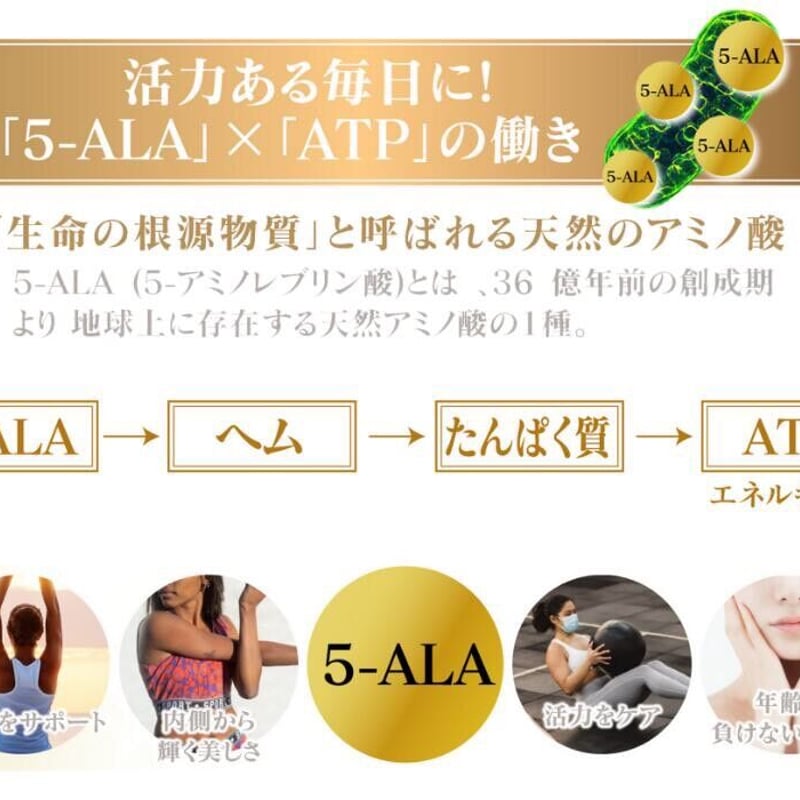 【お得な3本セット】デアザフラビン ➕5-ALA 1粒NMN1200mg相当 Amazon | 【5-デアザフラビン協会正規認定商品】 フェリアラボ 5