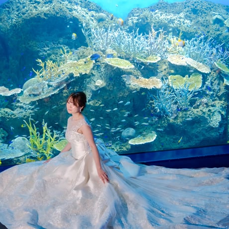 【結婚式前撮り・フォトウェディング】撮影＆撮影全データ・美容・当日サポート込み（衣装持ち込み）