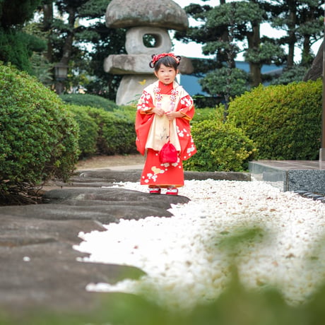 【七五三出張撮影｜平日写真撮影プラン】ご自宅支度〜ロケ撮影・全データ付き（衣装なし）
