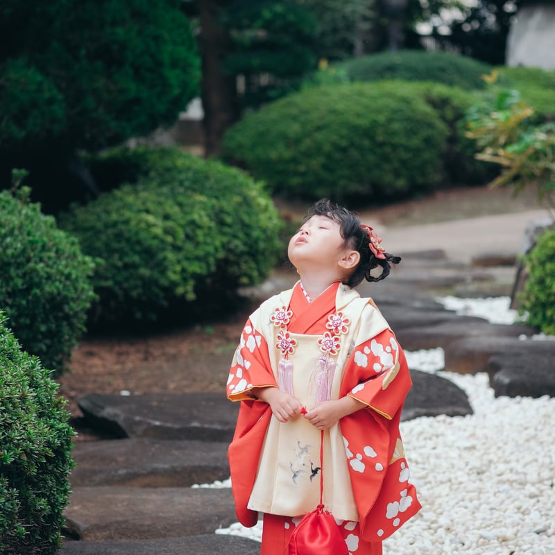 Kikiスタジオ出張撮影☆七五三 Kikiスタジオ出張撮影☆七五三