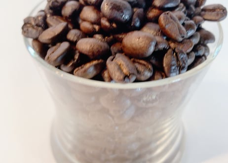 コスタリカ ジャガーハニー　150g