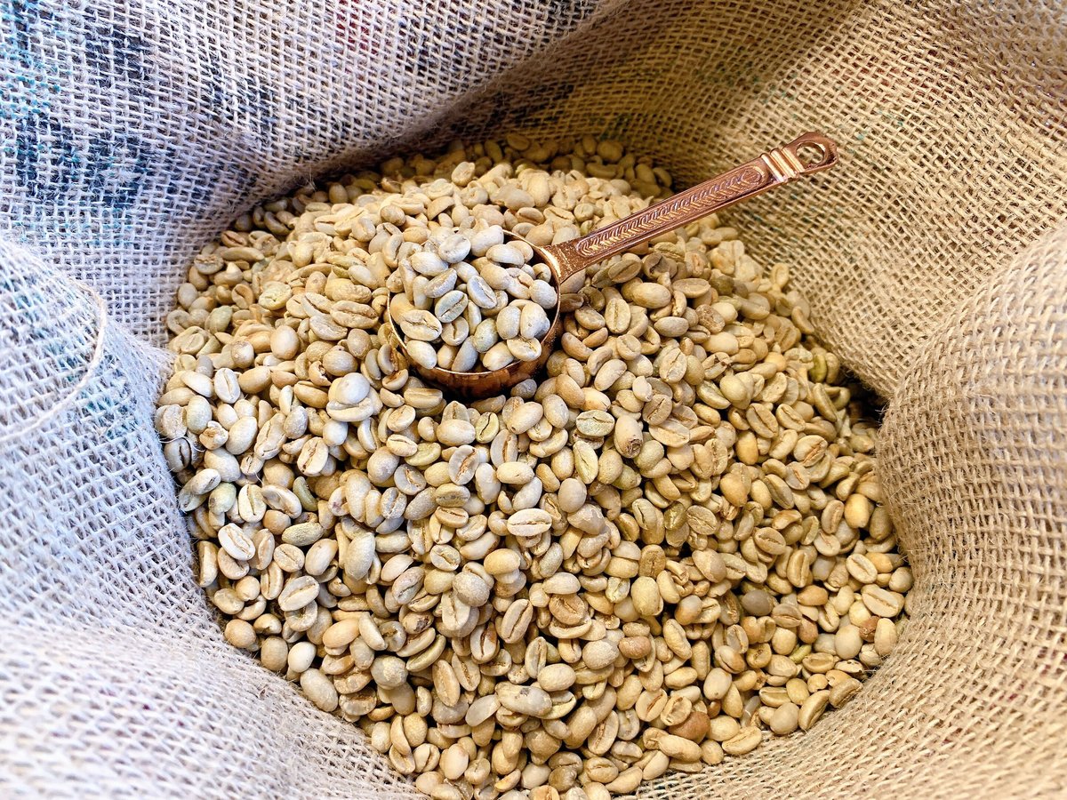 爆安!!【コーヒー生豆】モカマタリNo.9-3kg/ウガンダロブ3kg※送料無料 モカマタリNO.9熟成 150g | tratelier coffee
