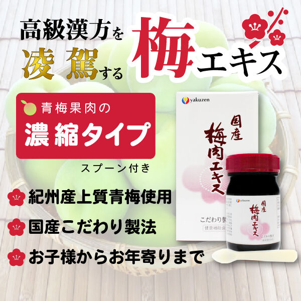 ■新品【白龍梅本舗／梅肉エキス】青梅梅肉エキス（練）、90g、４本組、和歌山県産 □新品【白龍梅本舗】青梅梅肉エキス（練タイプ）、90g、2本、梅