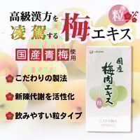 【梅エキス粒】 国産梅使用 こだわり製法 約600粒・120g