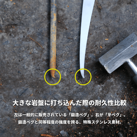 牙ペグ-4本セット