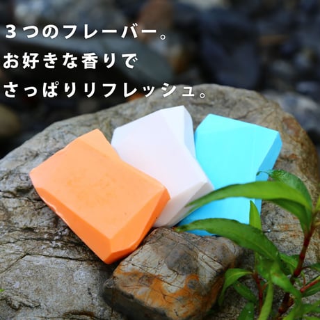 環境にやさしい固形シャンプーバー・ドッシュブロッケン（フレーバー：ココナッツ）