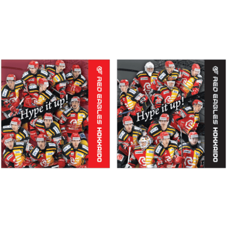 レッドイーグルス北海道 トレーナー グレー　ブランケット レッドイーグルス北海道 トレーナー グレー ブランケット 新商品