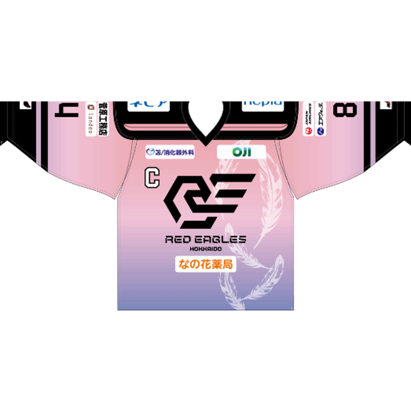 フィラデルフィアイーグルス試合実使用ユニフォーム 選手実使用】入手