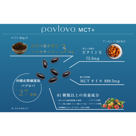 Pavlova MCT+ 　1ヶ月分パウチ