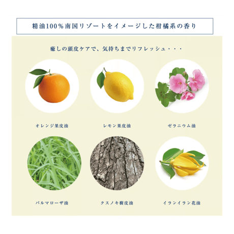 Pavlova DEEP SCRUB for Scalp（ヘッドスクラブ）