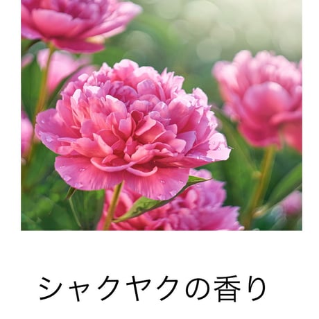 #交差点#bathsalt 10包入り