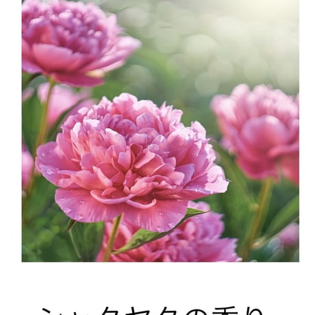 #交差点＃bathsalt 1包