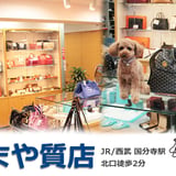 たまや質店