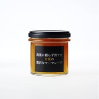 農薬に頼らず育てた甘夏の贅沢なマーマレード