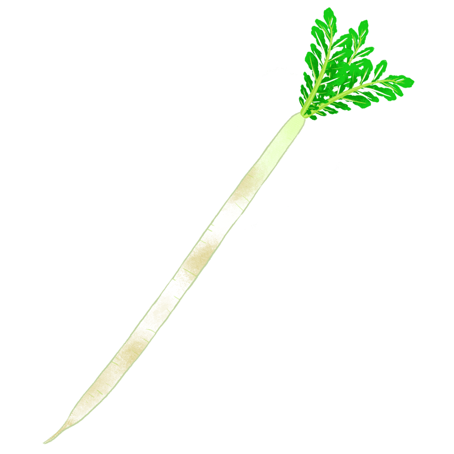 64a852e2956c0c00324f81b9