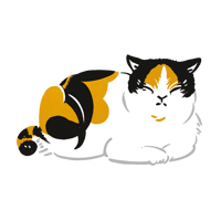 三毛猫_02