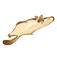 ムササビ_01