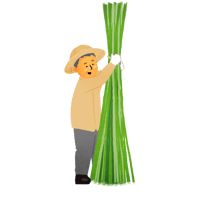 大麻を収穫する人_01