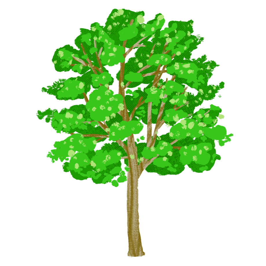 6713e8432758294fa7790a2a