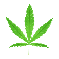 大麻_01