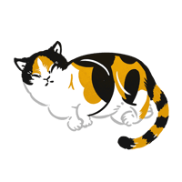 三毛猫_01