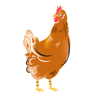 ボリスブラウン_01