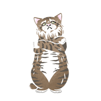 キジトラネコ_01