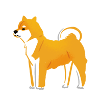 柴犬_03