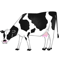 ホルスタイン種_01