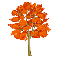 イロハモミジ_02