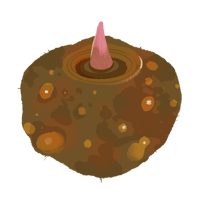 コンニャク_01