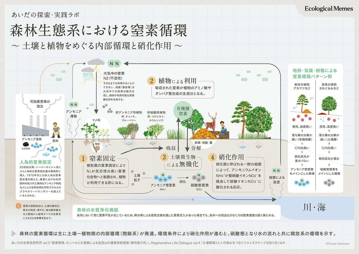 窒素循環の図解を制作しました。 | 農民イラスト