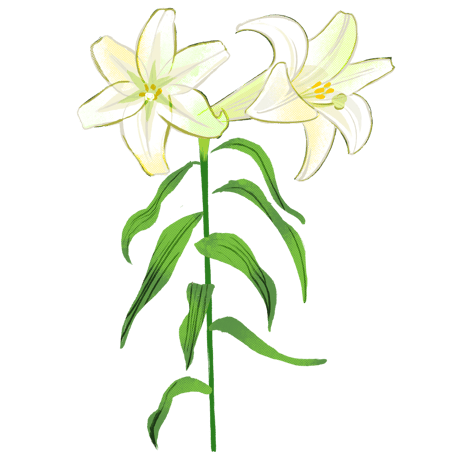 オオイヌノフグリ＊ナズナ＊キュウリグサ＊シジミチョウ♡植物画 オオイヌノフグリ＊ナズナ＊キュウリグサ＊シジミチョウ♡植物画