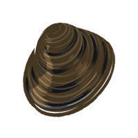 ヤマトシジミ_01