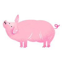 ランドレース種_01