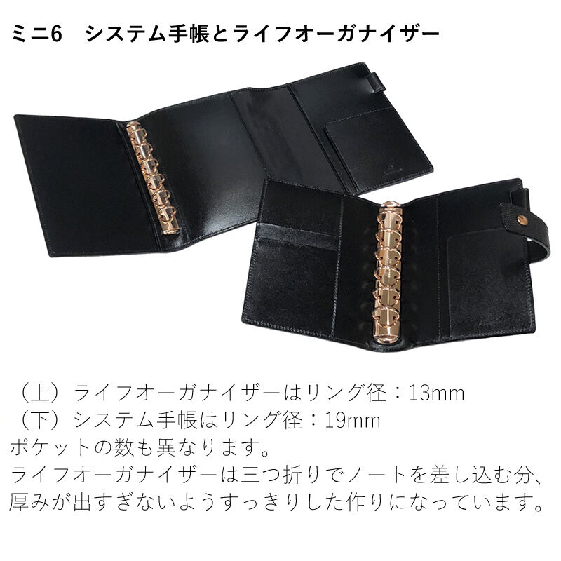 ASHFORD限定カラー ネオフィナード ローズゴールド ブラック ASHFORD限定カラー ネオフィナード ローズゴールド ブラック