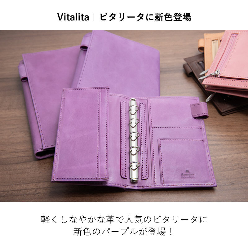 ASHFORD ビタリータ ライフオーガナイザー A6 + MINI6 13㎜ システム手