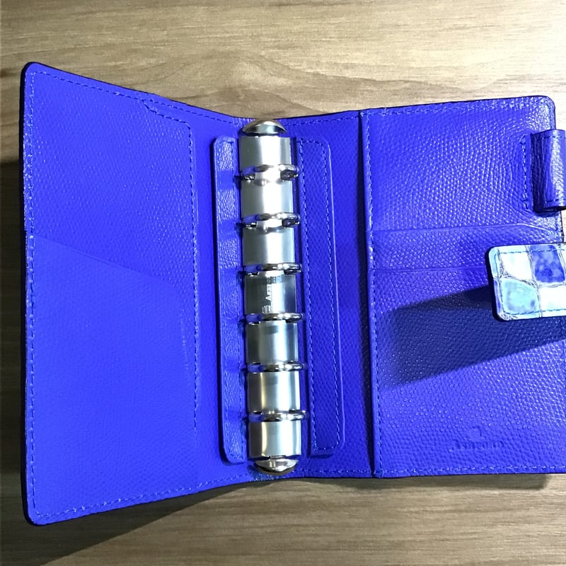 Ashford×NAGASAWA サントシャペル ニゼル 19mm hock シルバー M6