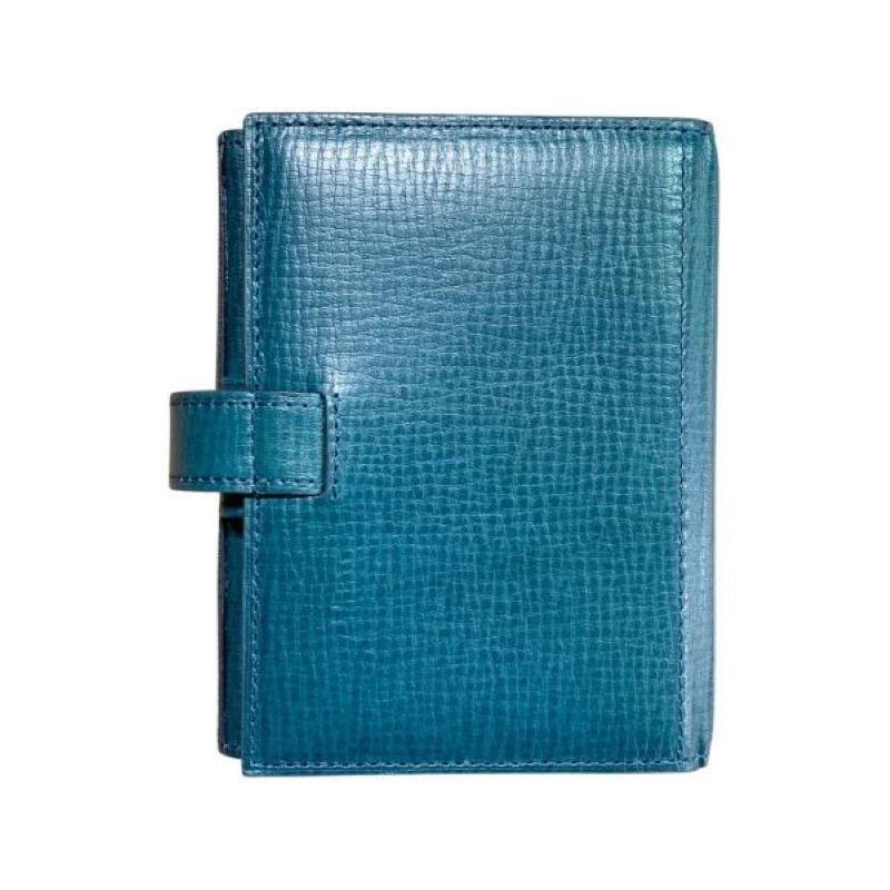 ASHFORD チェイサー コーチマン MICRO5 13mm クラシック