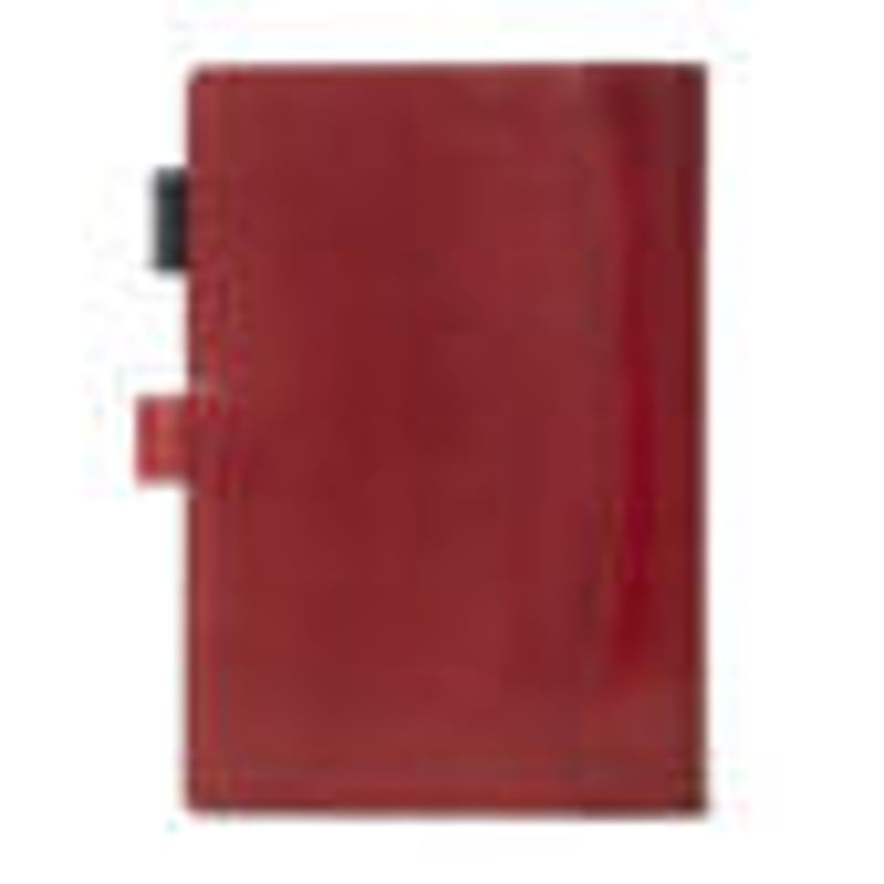 ASHFORD キャバリエ BIBLE 19mm belt [7281] | NAGASA