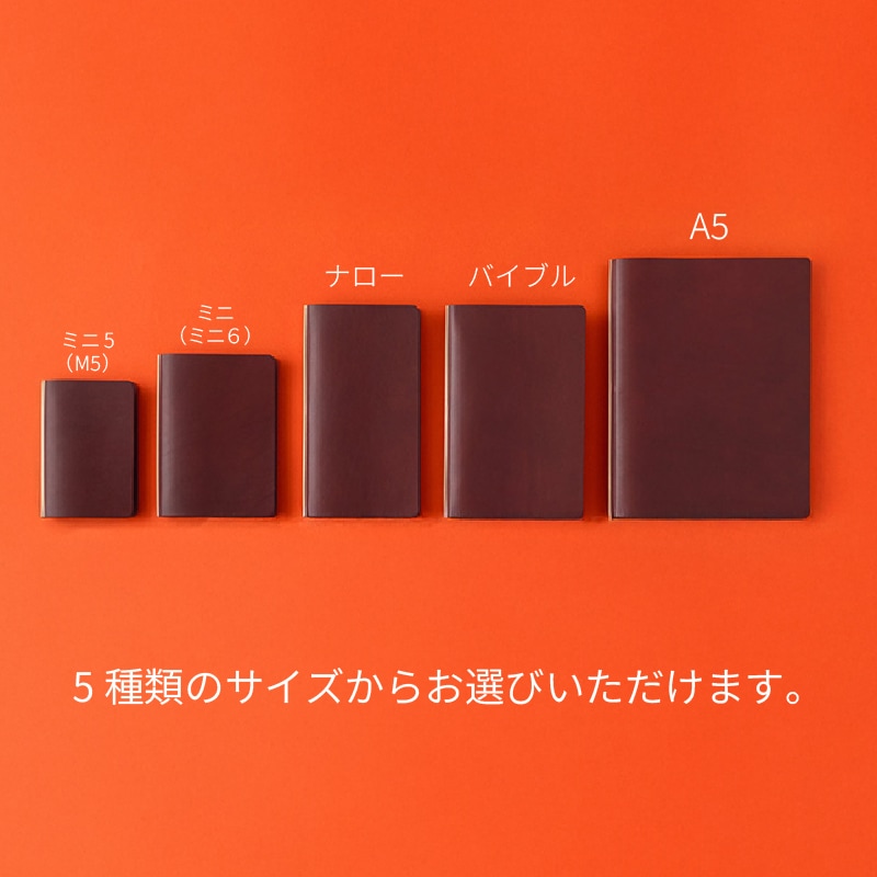 PLOTTER レザーバインダー リスシオ リミテッドBOX【※国内販売のみ