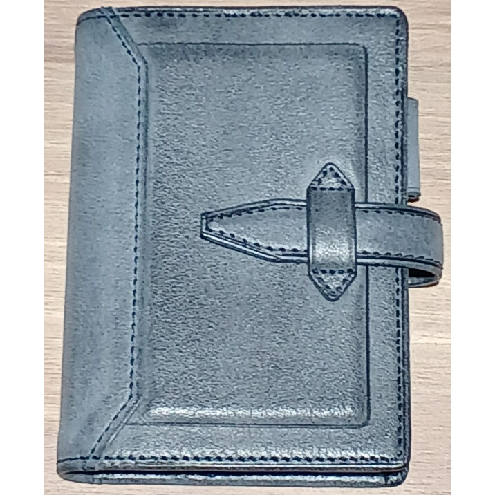 販売店舗限定 Davinci システム手帳 ロロマ クライム ミニ5