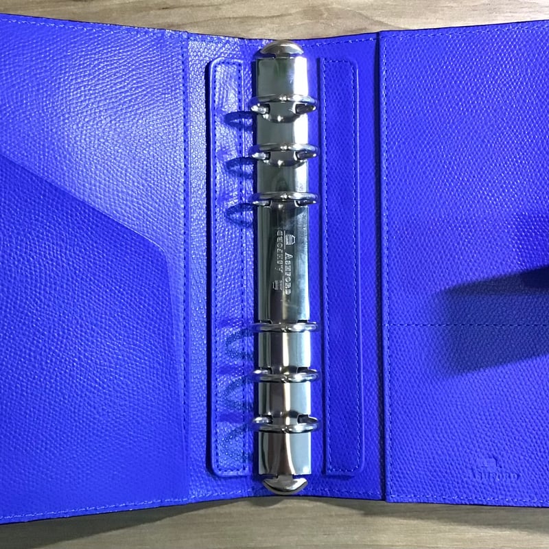 Ashford×NAGASAWA サントシャペル ニゼル 25mm hock シルバー BI