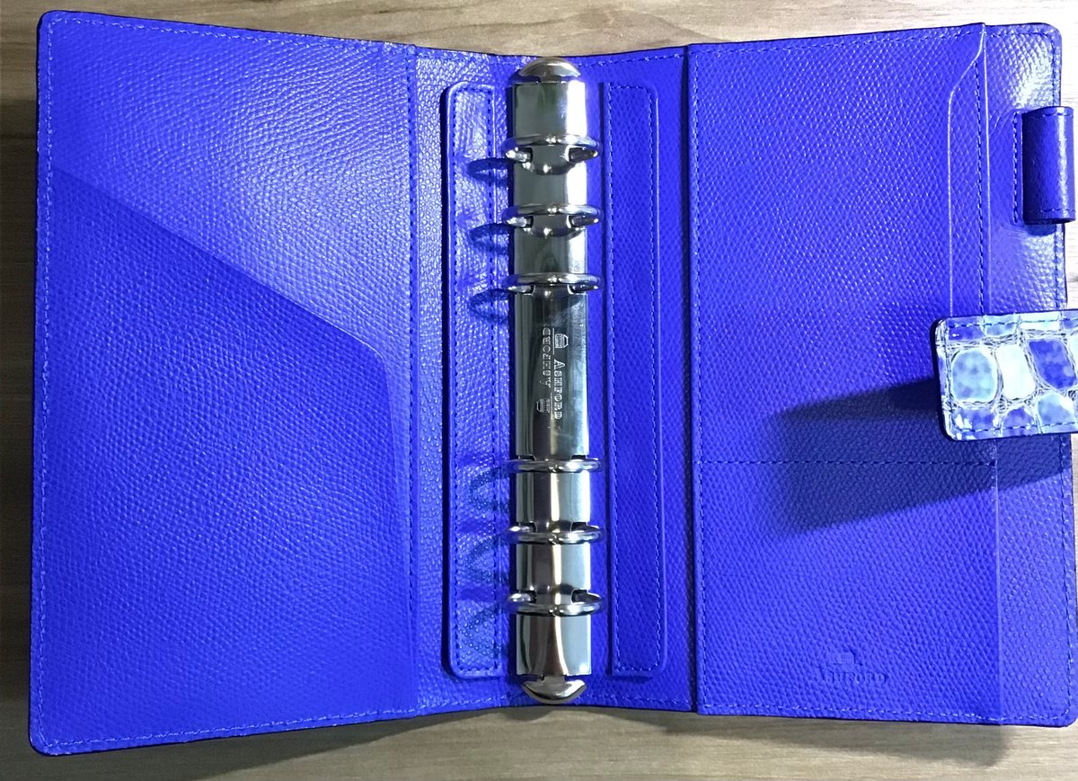 Ashford×NAGASAWA サントシャペル ニゼル 25mm hock シルバー BI