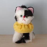 どきどきねこ／しろくろ【くさはらのはら】