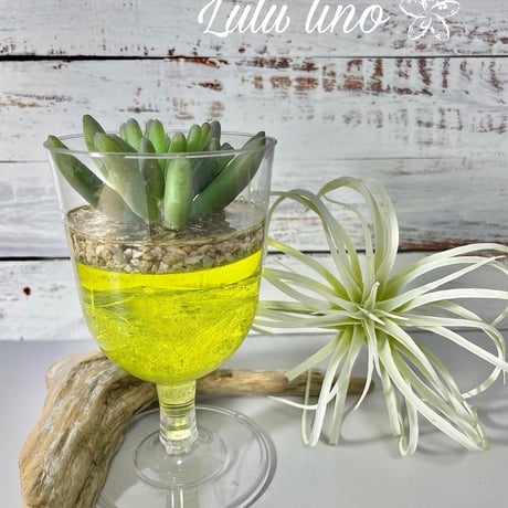 【10,000円お得！】同時申し込みLulu lino認定Lesson・Lulu ice color認定レッスン【Linolea Maki直接レッスン】
